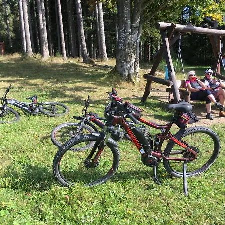 Lipno Serafin 4* Lipno nad Vltavou
